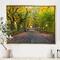 Designart - The Mall Area in Central Park - Large Landscape Framed Canvas Art